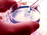 ADME and Toxicology 2013